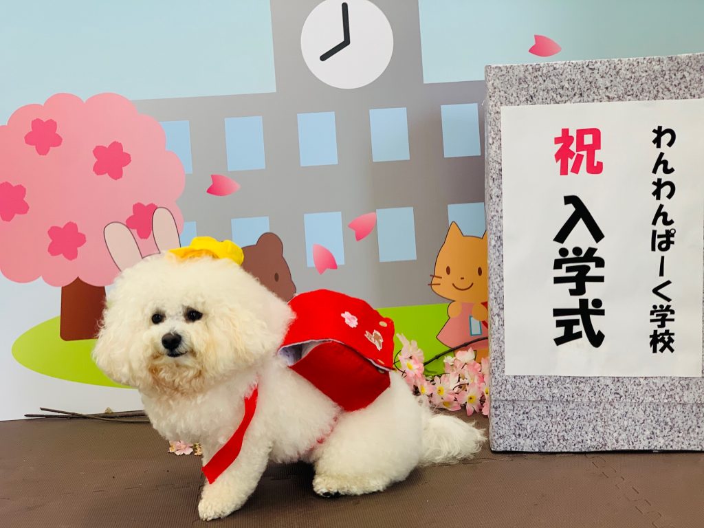 国内最大級1 000坪のドッグラン わんわんぱーく の今後の展開 Nsgグループ