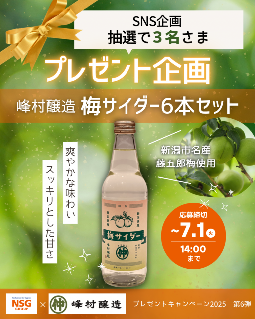 【峰村醸造の梅サイダー】6本セットが当たる！SNSプレゼントキャンペーン開催中