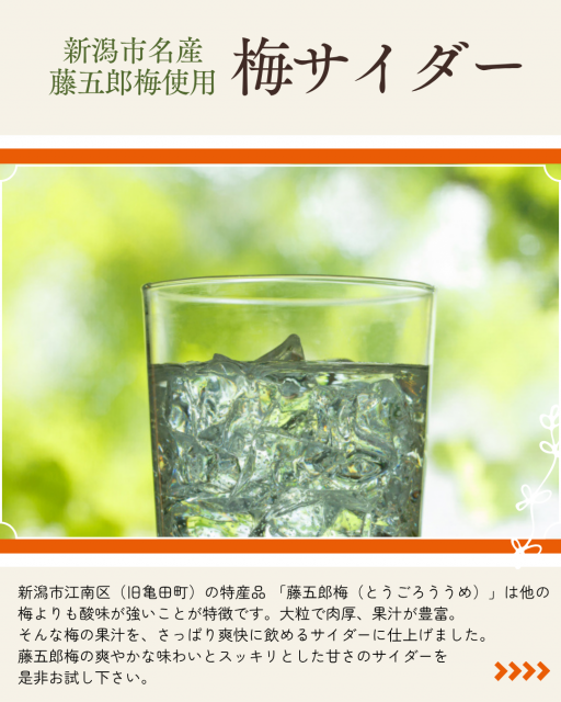 峰村醸造梅サイダーの説明画像