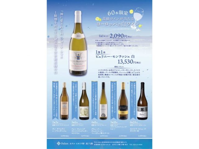 愛宕商事株式会社が運営する輸入販売店「Felion」にて発売するワインお楽しみ袋の概要