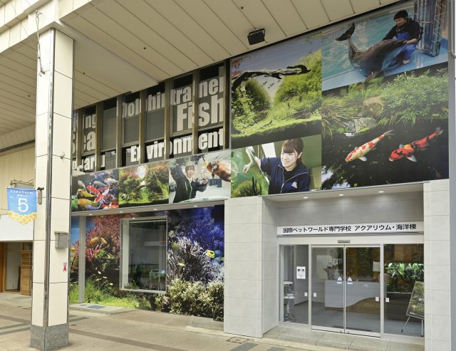 専門学校 AQUA国際アクアリウム・海洋生物大学校の外観