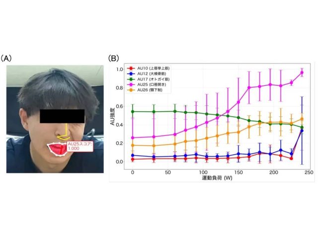 新潟医療福祉大学が行った研究の表情解析の例と漸増負荷運動試験中の表情変化のグラフ