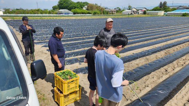 株式会社ベジ・アビオでの開志創造高等学校のキャリア体験学習の様子