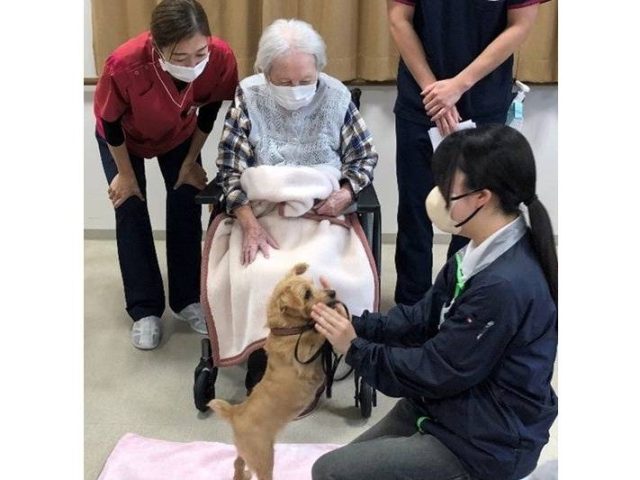 医療法人愛広会の介護付有料老人ホーム「愛広苑壱番館」で国際ペットワールド専門学校が行ったアニマルセラピー実習の様子