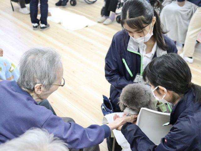 高齢者施設を訪問し動物介在活動を行う国際ペットワールド専門学校の学生