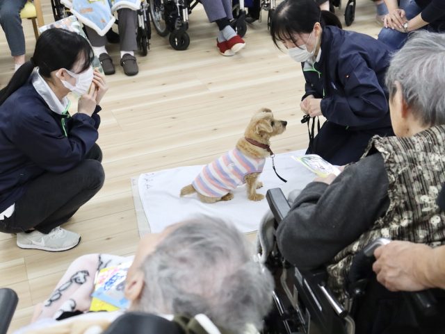 高齢者施設を訪問し動物介在活動を行う国際ペットワールド専門学校の学生