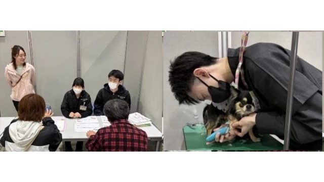 飼い主としつけ相談をする国際アート＆デザイン大学校の学生と、ペットのお手入れをする国際アート＆デザイン大学校の学生の様子