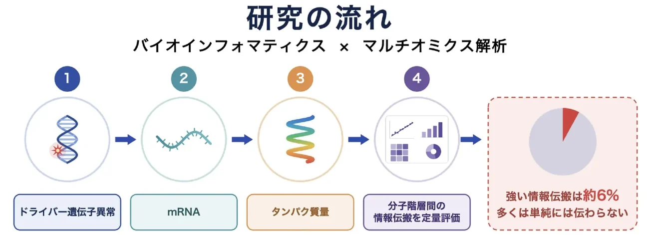 研究の流れ:バイオインフォマティクス×マルチオミクス解析