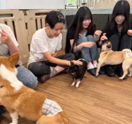 ペットと人の暮らしを支え、より良い関係性をつくるための仕事があることを学びました。