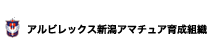 ArbNXVA}`A琬gD