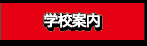 wZTv