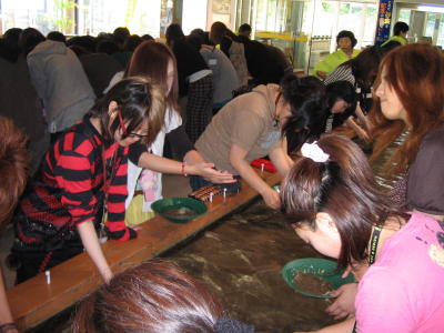 IMG00340.jpg