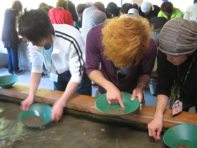IMG00350.jpg