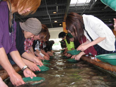 IMG00370.jpg