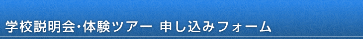 �w�Z������E�̌��c�A�[ �\�����݃t�H�[��